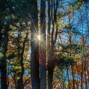 trampolinespringen bij depressie trampolinespringen bij depressie